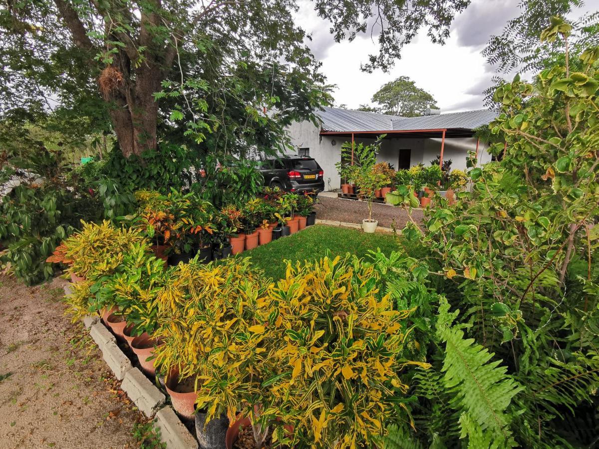 Happy Forest B&B Katima Mulilo Exterior photo