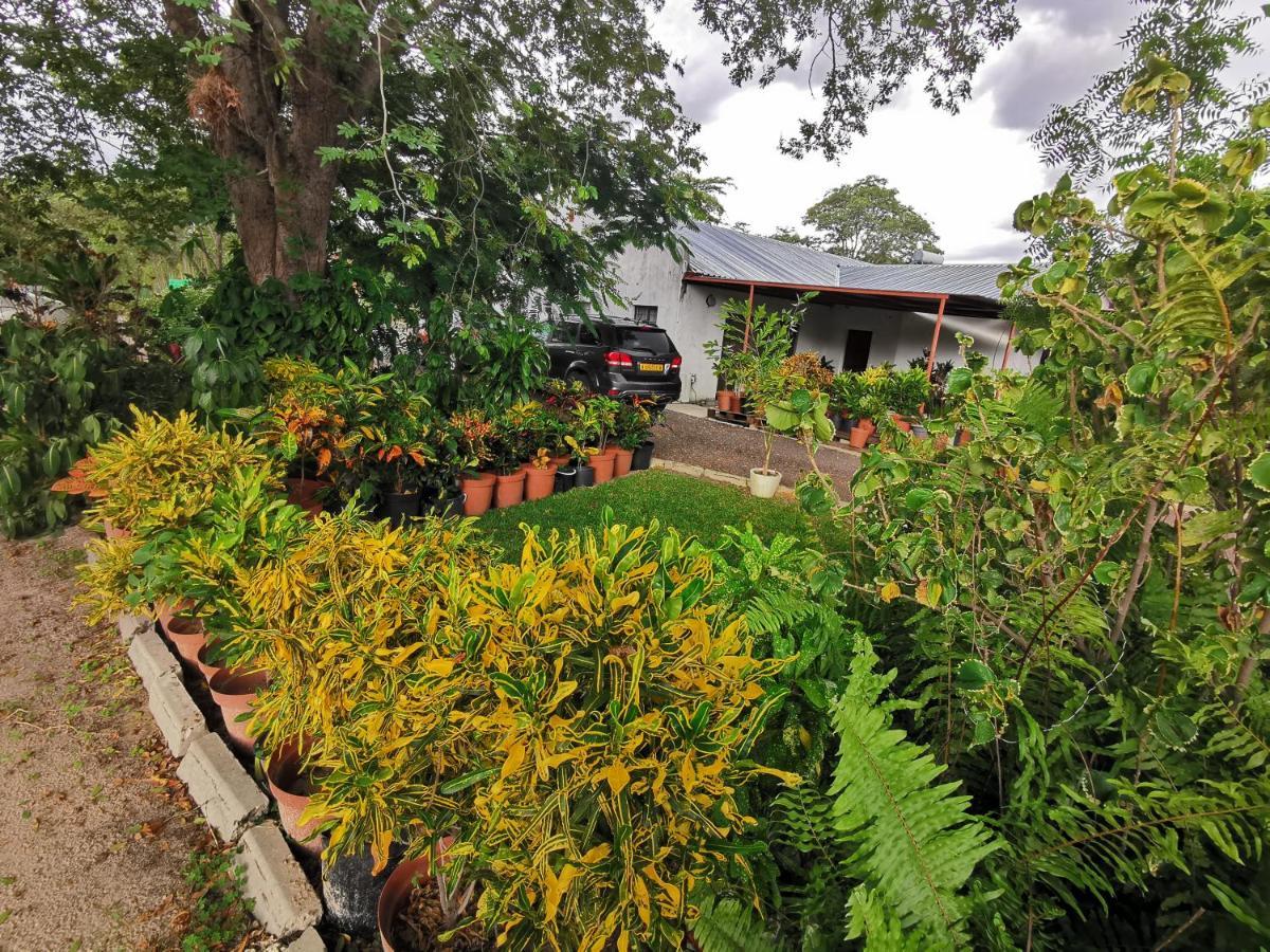 Happy Forest B&B Katima Mulilo Exterior photo